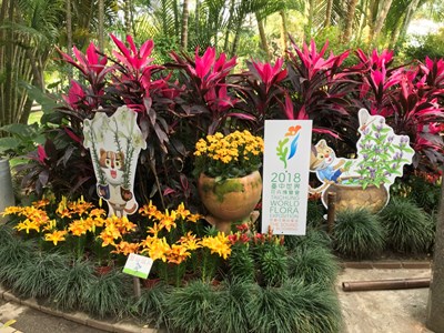 中市新品種百合花　北市士林官邸亮相